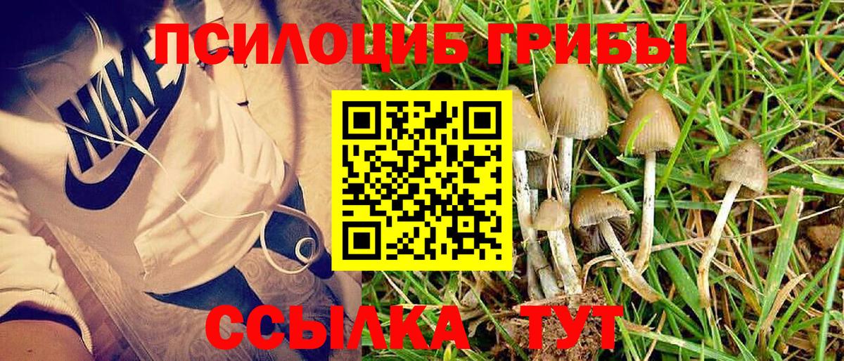 Псилоцибиновые грибы Psilocybe  Псилоцибиновые грибы Psilocybine cubensis  Вход с VPN  Ржев 