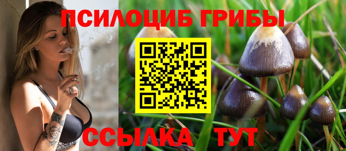 Галлюциногенные грибы прущие грибы Ржев
